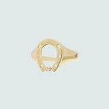 HORSESHOE BRILLANTE ANELLO
