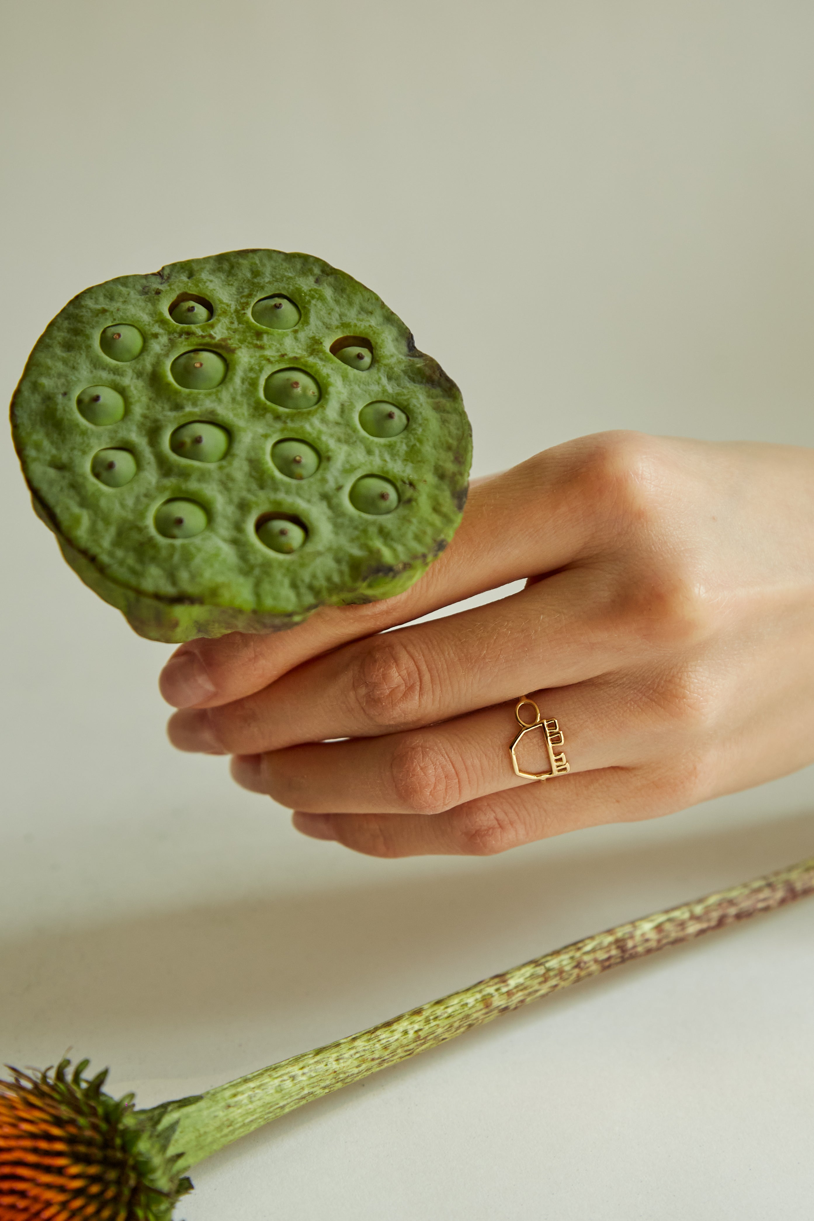 Hand holding a green flower and wearing a turtle shaped gold ring