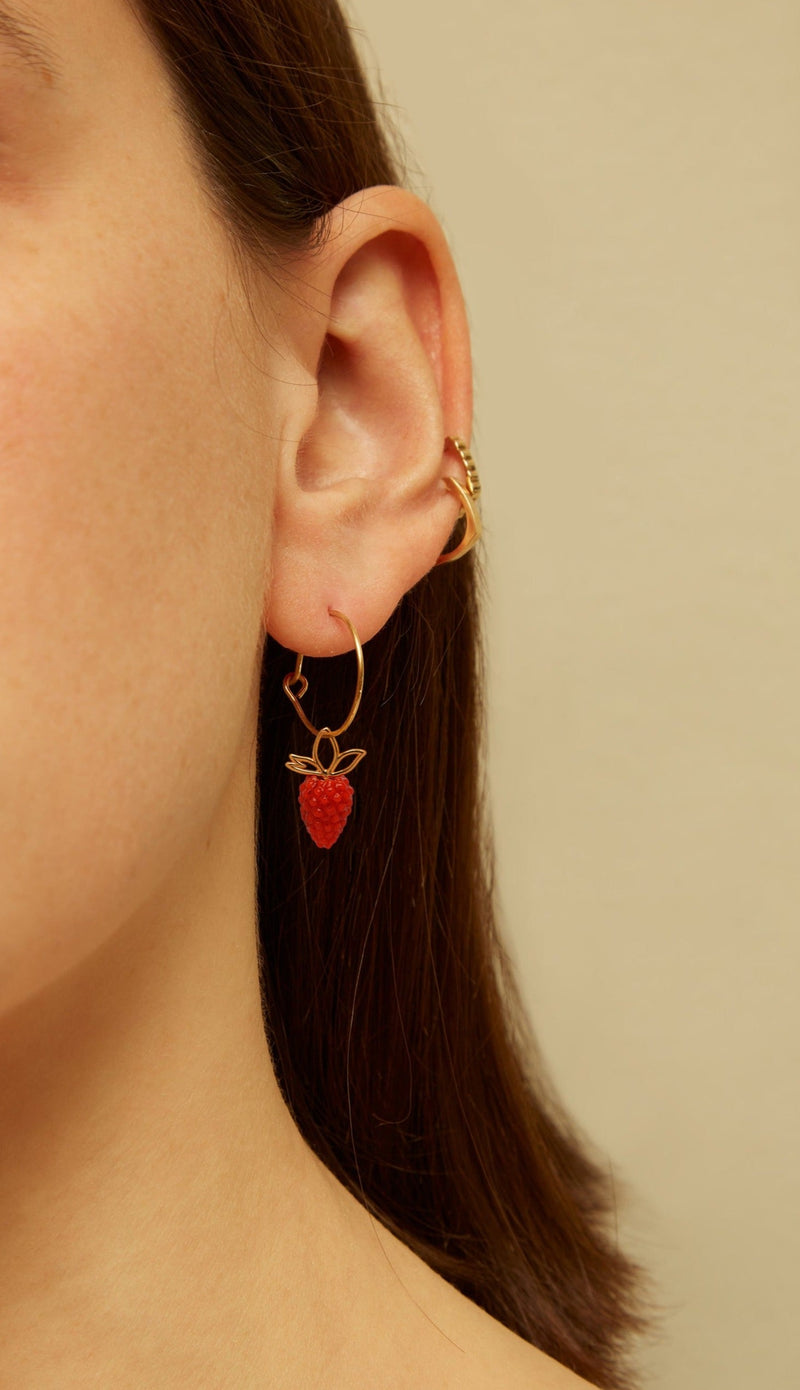 FRAMBUESA PURA EARRING CIRCLE