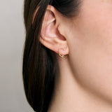 CORAZON BRILLANTE EARRINGS