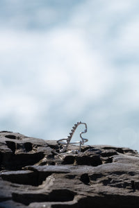 Dinosaur shaped white gold ring on a rock od the beachside