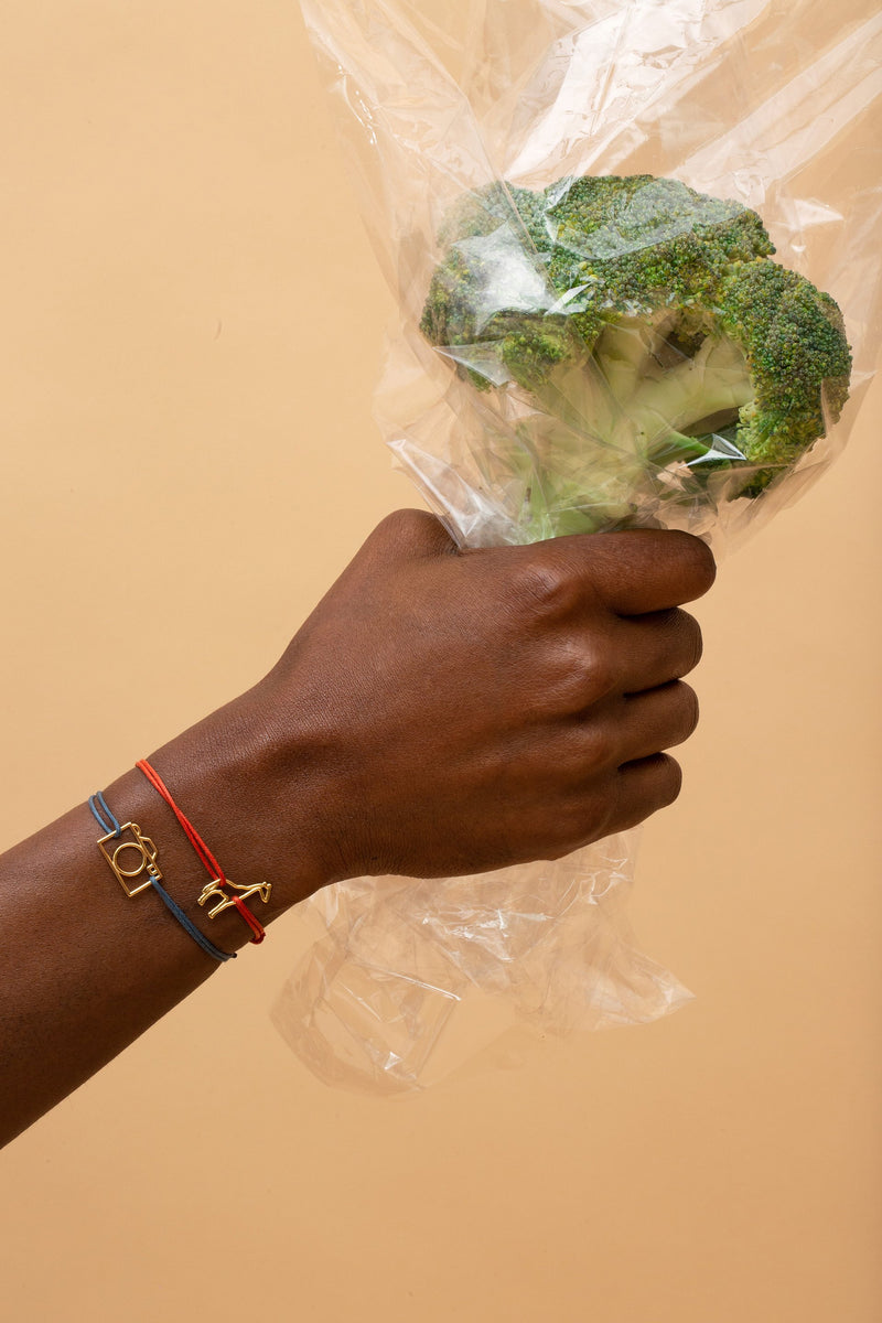 Hand holding broccoli with cord bracelets with camera and giraffe gold pendants