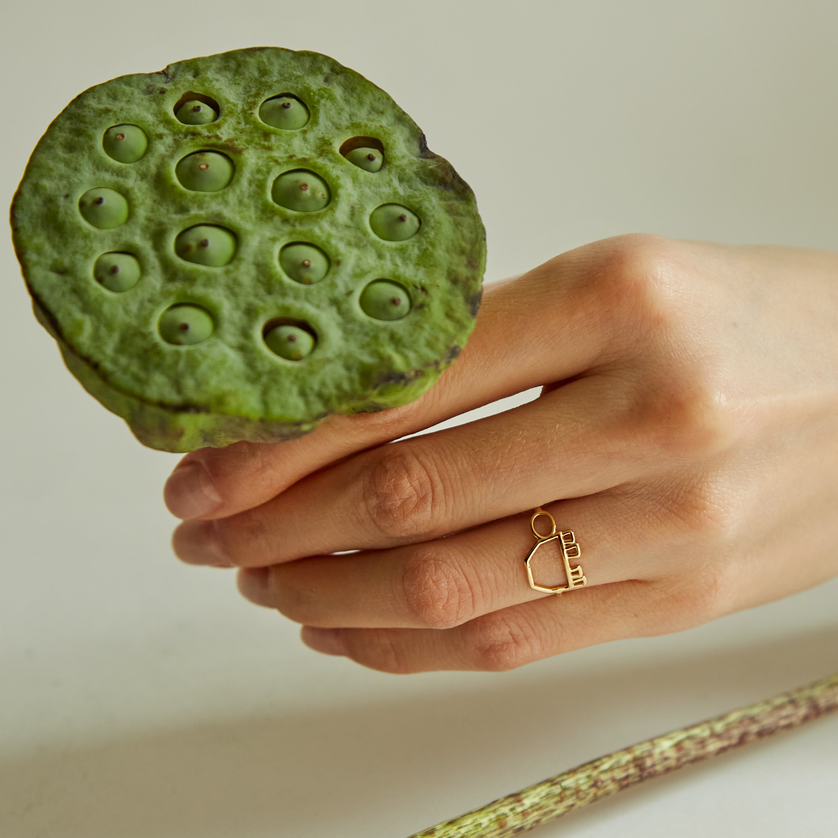 Hand holding a green flower and wearing a turtle shaped gold ring