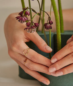 Woman hands adjusting flowers and wearing a gold ring shaped like a turtle and a ring with pink tourmaline and citrine stones