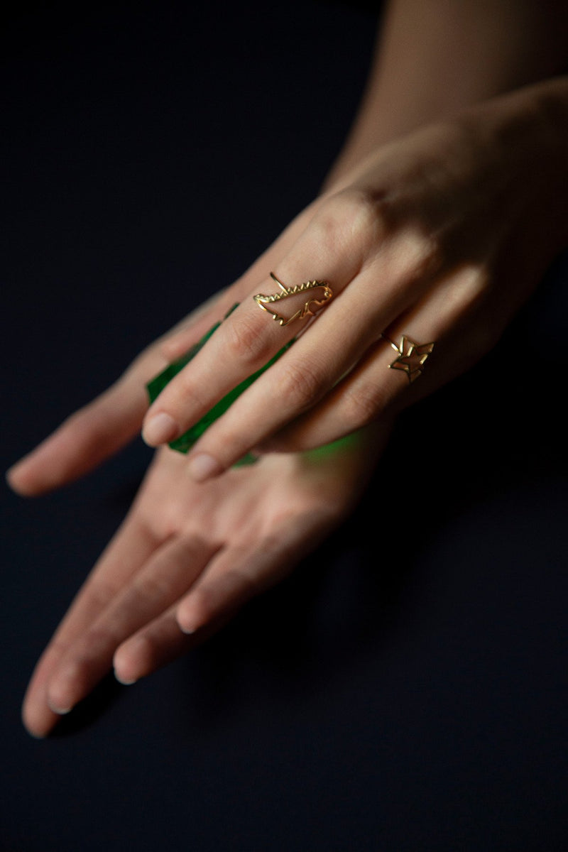 Hands wearing gold rings shaped like dinosaur and star