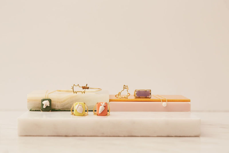 Jewelry selection with gold rings with cameo porcelain and necklaces